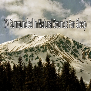 77 Surrounded in Natural Sounds for Sleep