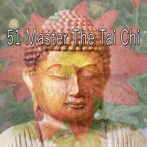51 Master the Tai Chi
