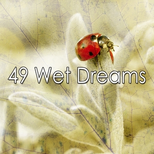 49 Wet Dreams