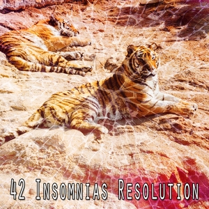 42 Insomnias Resolution