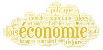 Existe-t-il un modèle économique idéal ?