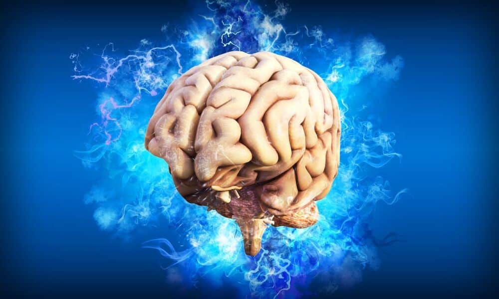 Troubles obsessionnels compulsifs : appel à volontaires sains pour une recherche clinique sur la stimulation cérébrale profonde