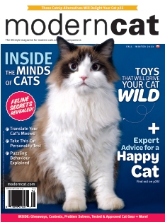 Modern Cat Magazine - n° 20231010