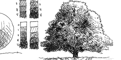 Le secret des hachures | Partie 2 : L'arbre en hachures