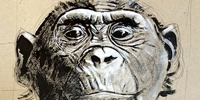 Contrastes et textures en peinture | Partie 1 : Le chimpanzé