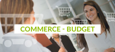 Commerce - Budget