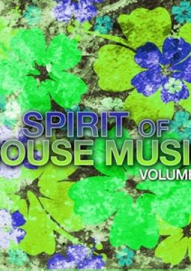 Spirit of House Music, Vol. 2