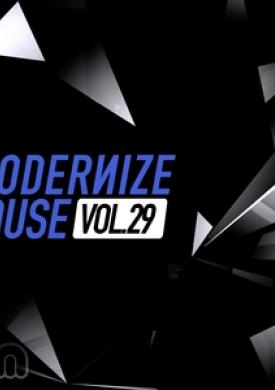 Modernize House, Vol. 29