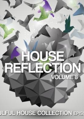 House Reflection, Vol. 8