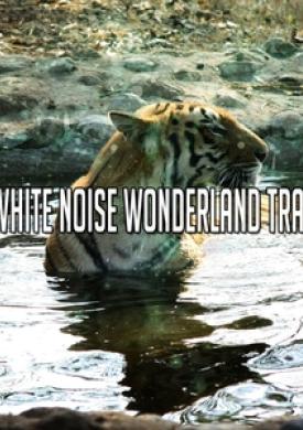 50 White Noise Wonderland Tracks