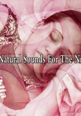 75 Natural Sounds For The Night