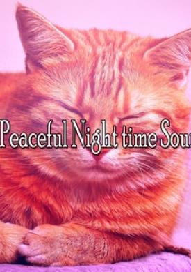 42 Peaceful Night time Sounds