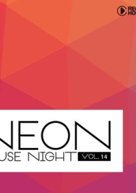 Neon House Night, Vol. 14