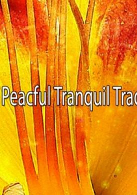 65 Peacful Tranquil Tracks