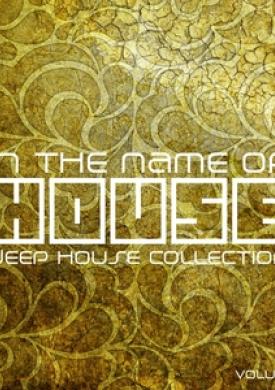 In The Name Of House, Vol. 16