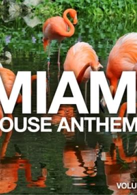 Miami House Anthems, Vol. 6