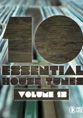 10 Essential House Tunes, Vol. 15