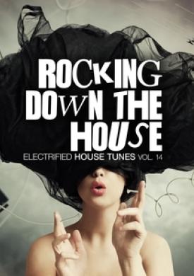 Rocking Down The House - Electrified House Tunes, Vol. 14