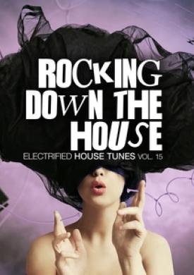 Rocking Down The House - Electrified House Tunes, Vol. 15