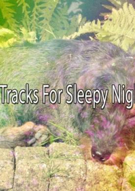 50 Tracks For Sleepy Nights