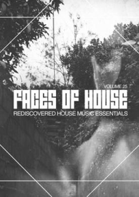 Faces of House, Vol. 25