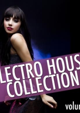 Electro House Collection, Vol. 2