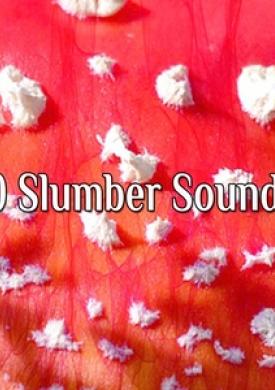 80 Slumber Soundly