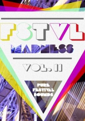 FSTVL Madness, Vol. 12 - Pure Festival Sounds