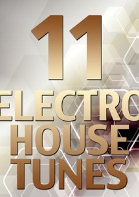 11 Electro House Tunes