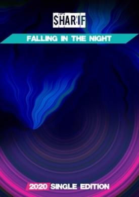 Falling in the Night