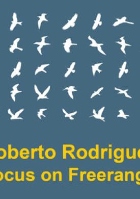 Focus On : Freerange Roberto Rodriguez