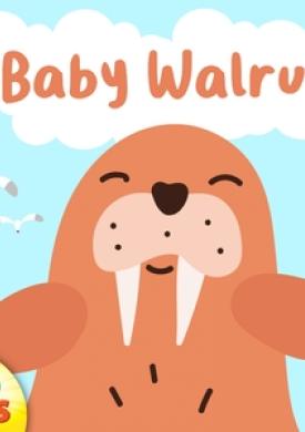 Baby Walrus