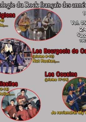 Anthologie des groupes de rock français des années 60 - 16 Vol. - Les aiglons - les Bourgeois de calais - les missiles - les cousins - Vol. 5 / 16