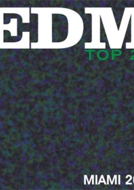 Edm Top 20 Miami 2014