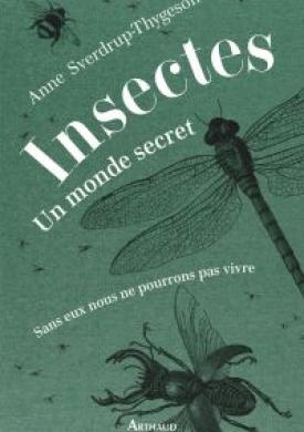 Insectes. Un monde secret