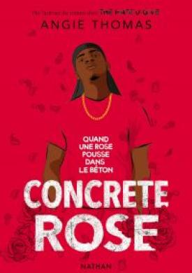 Concrete Rose - Quand une rose pousse dans le béton - Réalisme Contemporain - Ado