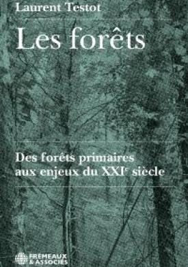 Les forêts. Des forêts primaires aux enjeux du XXIe siècle