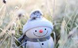Figurine de bonhomme de neige dans l'herbe