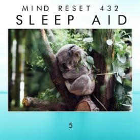 Sleep Aid 5