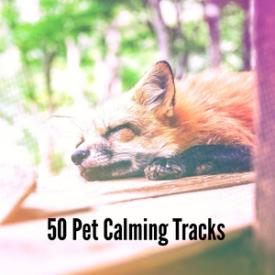 50 Pet Calming Tracks