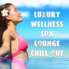 Luxury Wellness Spa Lounge Chill Out