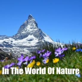 In The World Of Nature