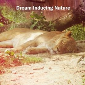 Dream Inducing Nature