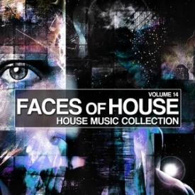 Faces of House, Vol. 14