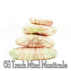 68 Track Mind Monticule
