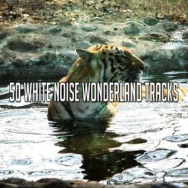 50 White Noise Wonderland Tracks