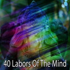 40 Labors Of The Mind