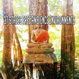 37 Stress Free Ambience Environments