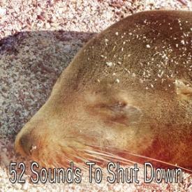 52 Sounds To Shut Down