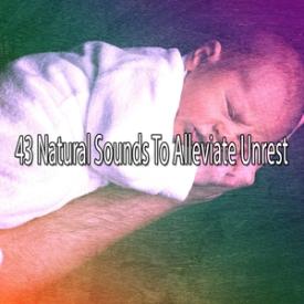 43 Natural Sounds To Alleviate Unrest